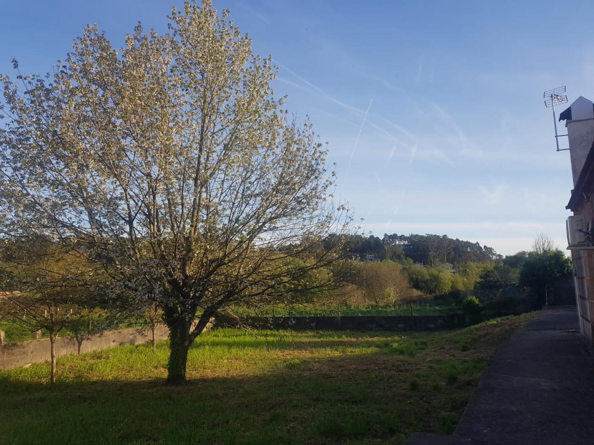 Casa La Porrinesa Villa Porrino Luaran gambar